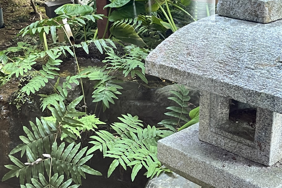 自家源泉のぬくもりと旬のごちそう